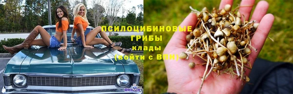 наркотики Абаза