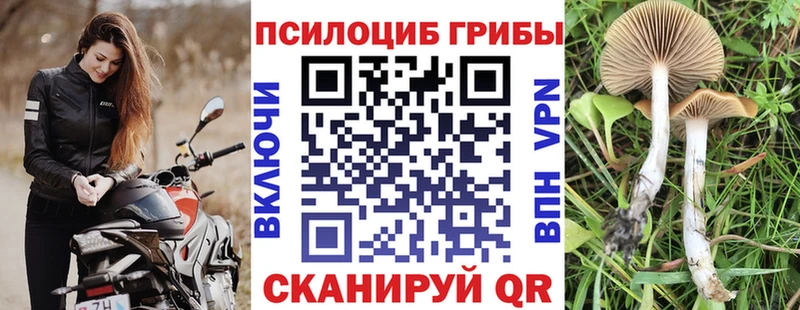 Галлюциногенные грибы мухоморы  где продают наркотики  Тайга 
